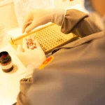 Manipulação de Medicamentos em Geral